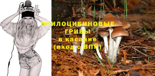 бутират Ельня