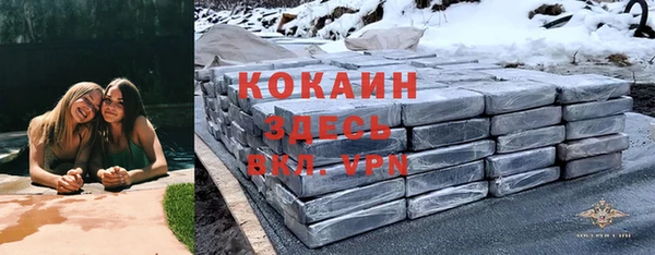 СК Елизово