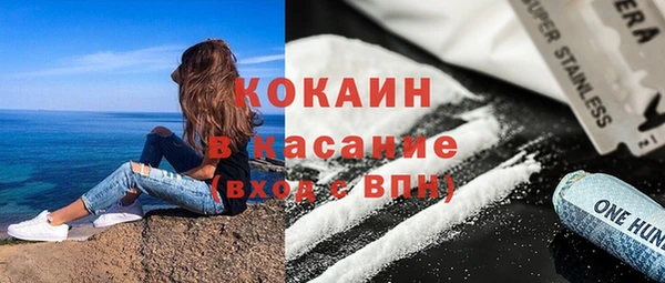 СК Елизово