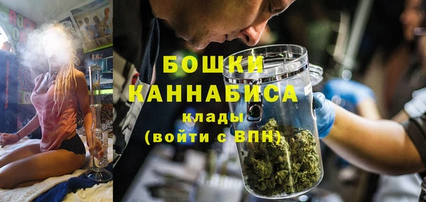 СК Елизово